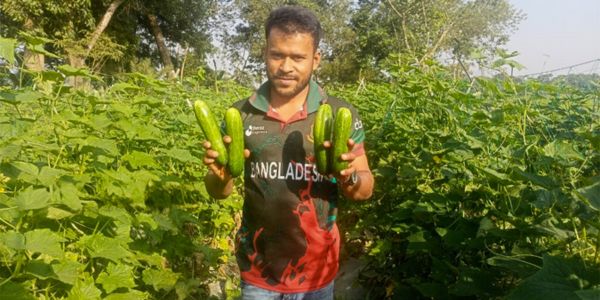 কৃষিতে সফল হোসেনপুরের শিক্ষিত যুবক